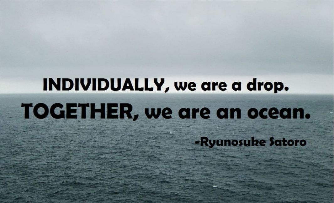 Individually, we are a drop. Together, we are an ocean. - Ryunosuke Satoro